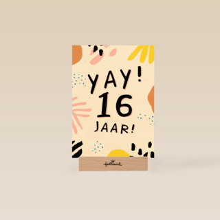 Verjaardagskaart Tiener jongen meisje 16 jaar yay