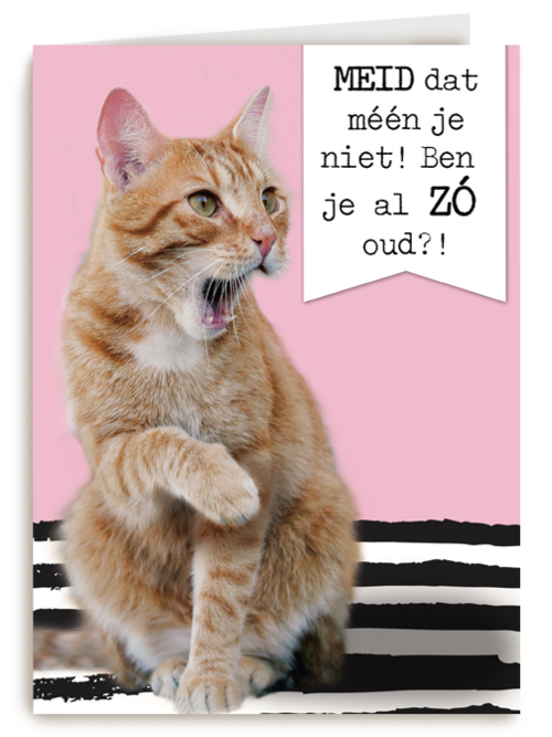 meid dat meen je toch niet