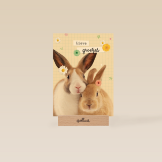 lieve groetjes kaart met konijnen en bloemetjes
