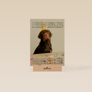 verjaardagskaart met hond met feesthoed