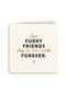 our furry friends stay in our hearts forever