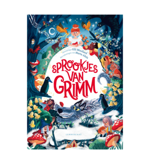Boek Sprookjes van Grimm