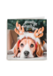 Kerstkaart klassiek hond met gewei