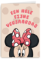 verjaardag kaart minnie mouse een hele fijne verjaardag