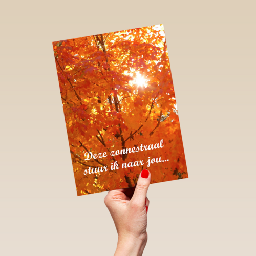 Boom in herfst