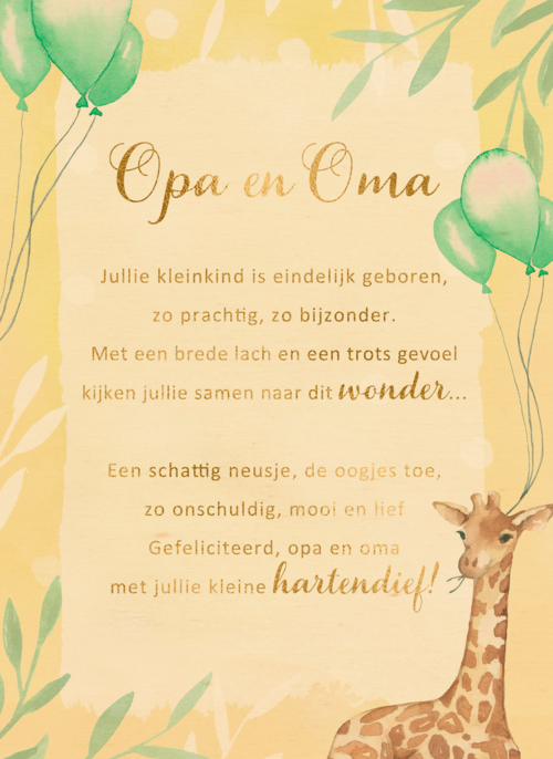 Geboortekaart kleinkind Opa en oma gefeliciteerdMore than words
