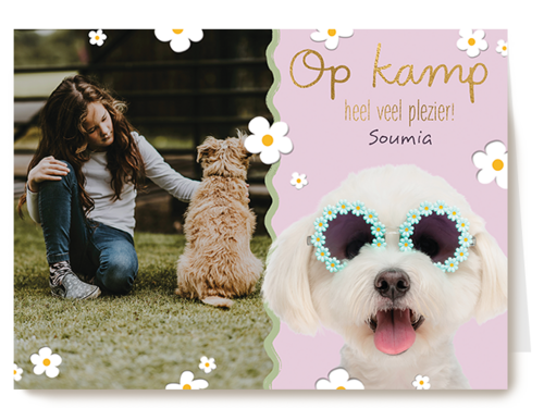 Op kamp heel veel plezier roze hond fotokaart
