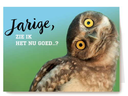animal fiesta jarige zie ik het nu goed