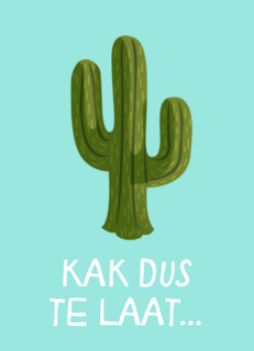 Verjaardagskaart te laat cactus