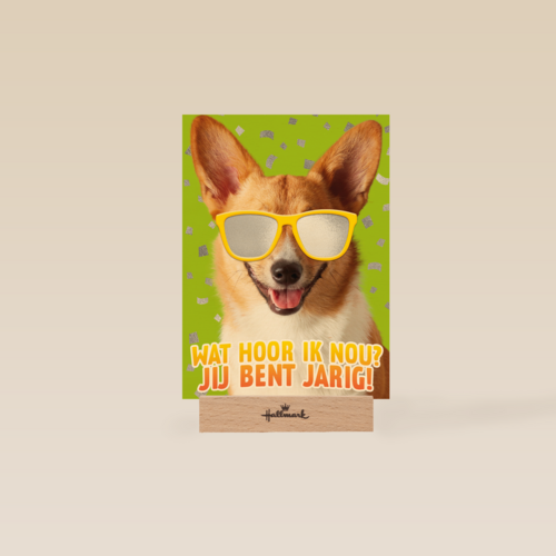 wat een coole hond voor je verjaardag