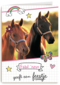 verjaardagsfeest meisje paarden zij geeft een feestje