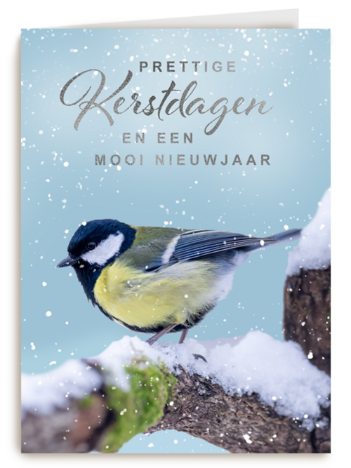 Kerstkaart vogel op tak winter