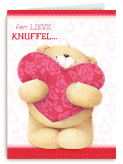 groot hart een lieve knuffel