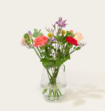 Brievenbusbloemen Matia Studio
