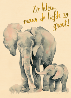 de grote liefde van een olifant