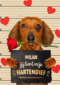 valentijn kaart hond jij bent mijn hartendief