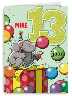 verjaardag leeftijden lorenzo de bruin 13