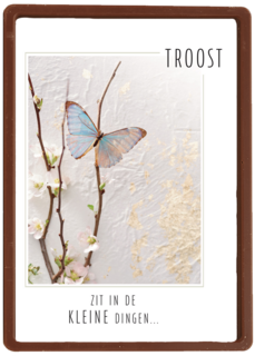 kerst troost zit in de kleine dingen