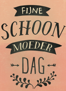 fijne schoonmoeder dag voor een schoonmoeder die je heel graag mag