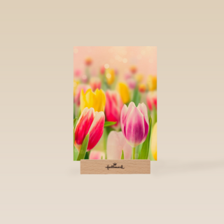 lente kaart tulpen voorjaar