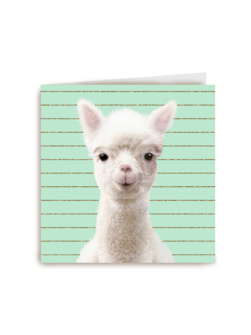 Blanco kaart alpaca