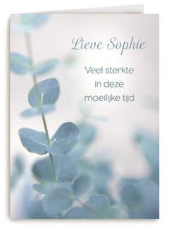 lieve veel sterkte in deze moeilijke tijd