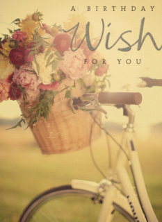 prodo a birthday wish for you