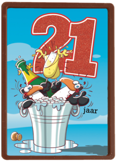 verjaardag leeftijden lorenzo de bruin 21