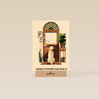 Home is where the dog is