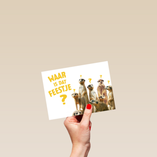 waar is dat feestje met stokstaartjes