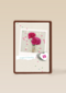 polaroid met roos
