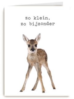 Een furry cuddles kaart zo klein zo bijzonder hert
