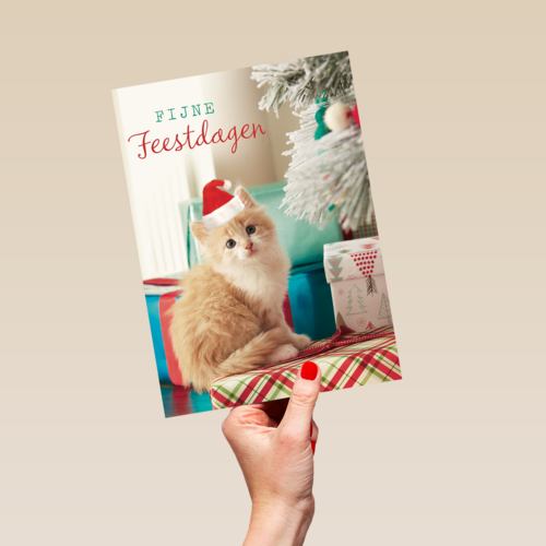 kerstkaart fijne feestdagen feest