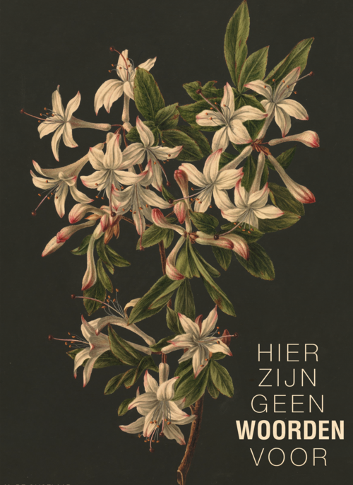 Houten Kaart Condoleance Kaarten | Houten Kaart Hallmark | Condoleance Kaarten | Hier Zijn Geen Woorden Voor Bloemen