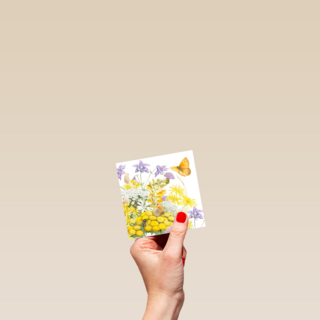 Kaart flowers by Marjolein Bastin Vlinder gele bloemen