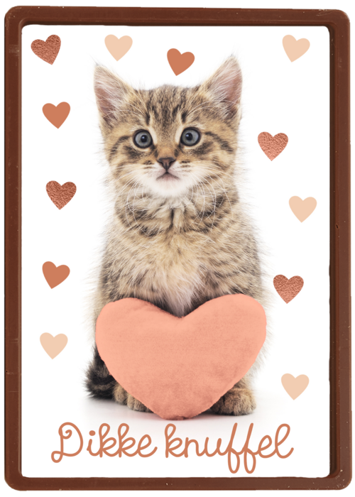 Liefde kaart kat met hart en dikke knuffel