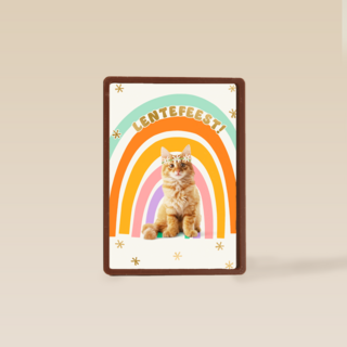 Regenboog Kat Lentefeest