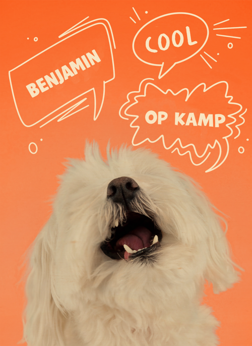 Houten Kaart Op Kamp | Houten Kaart Hallmark | Op Kamp | Hond Cool Op Kamp Oranje
