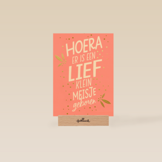 hoera er is een lief klein meisje geboren
