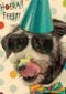 hoera feest hond met zonnebril