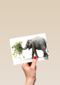 Chromazone Olifant boeket