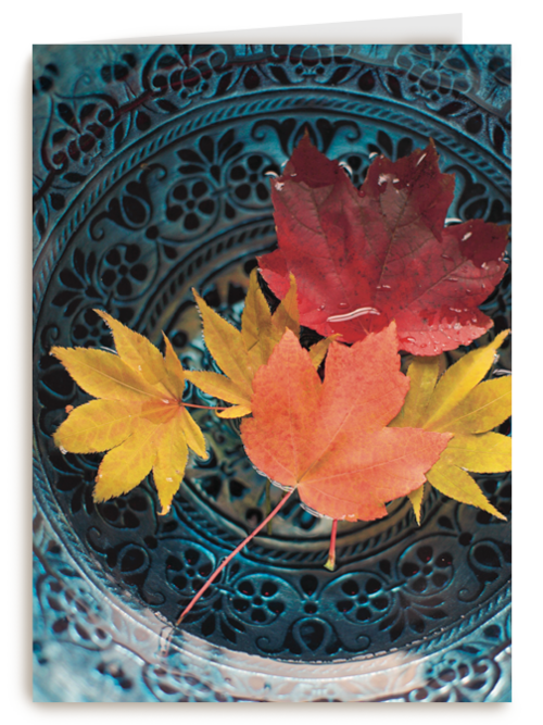 herfst kaart herfstbladeren