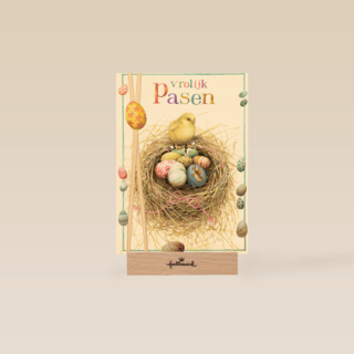 kuiken met nestje eieren