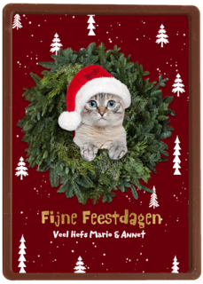 Kat in de boom fijne kerst