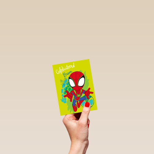 Gefeliciteerd Spidey and Friends
