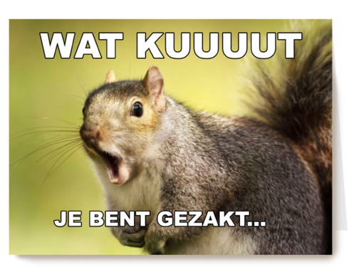 gezakt kaart wat kuuuut