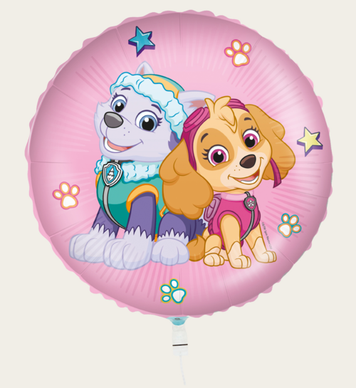 Ballon Paw Patrol Skye & Everest Multi