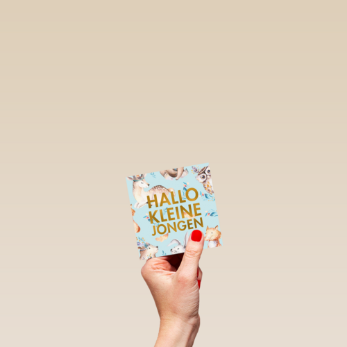 hallo lieve kleine jongen