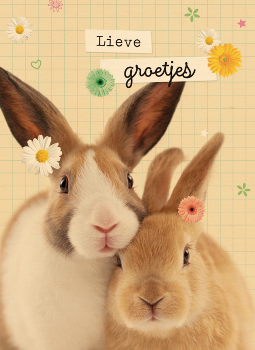 lieve groetjes kaart met konijnen en bloemetjes