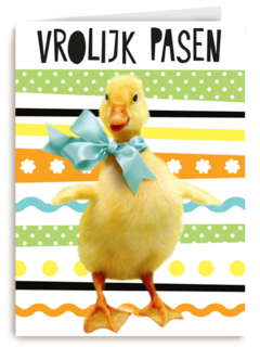 vrolijk paaskuiken